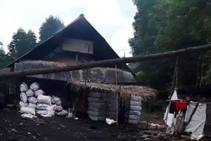 Kasi P2 Bea Cukai Dumai Sebut Eksport Arang Dari Pulau Rupat Ke Malaysia ” Legal “