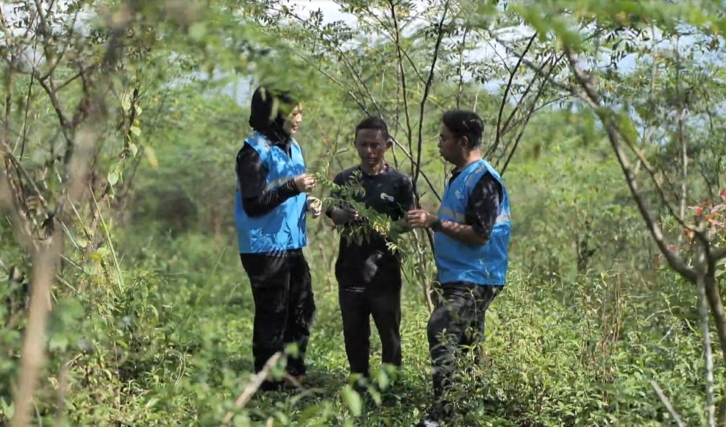 Pengembangan Biomassa PLN di Tasikmalaya: Dikelola Masyarakat, Didukung Pemerintah