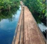 Maraknya Illegal Logging di Sungai Sembilan Diduga Dibekingi Aparat, Lahan Konservasi Harimau Dijarah Tanpa Tindakan